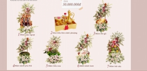 Ảnh dịch vụ mâm quả